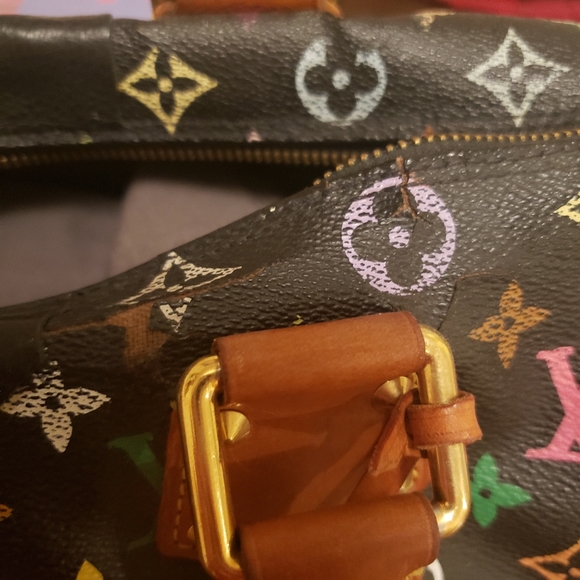 SOLD LOUIS VUITTON Multicolor Speedy Bag Authentic - Picture 11 of 14